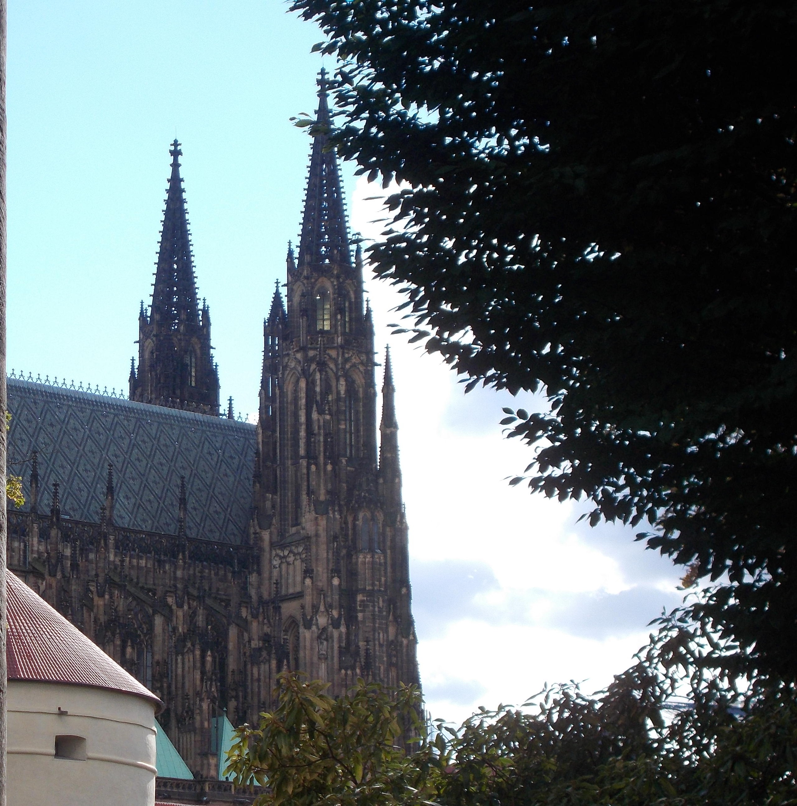 kopie